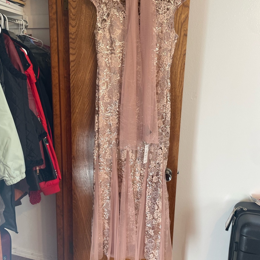 Alex Evenings Lace Dress in Rose Gold
